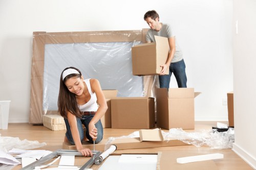 Professional packing materials and wrapped household items