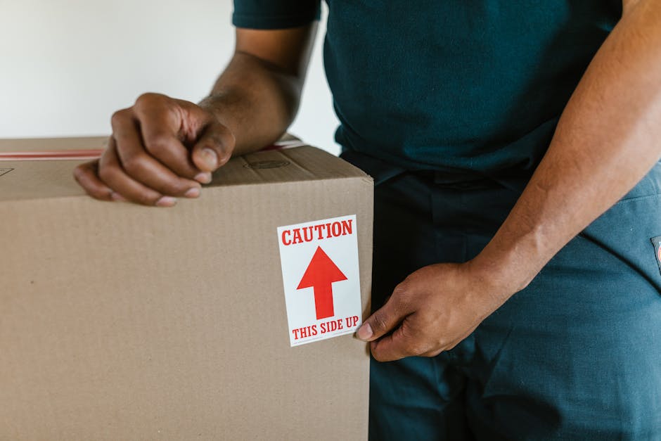 A man with an Afro hairstyle and beard, wearing a teal t-shirt, is seen packing a cardboard moving box in an indoor space. He is standing next to a white shelving unit that holds a large white pot with a green leafy plant, a gold-colored decorative object, and three white cups. The man is placing items inside the open box, which has a red and white caution label on the side indicating 'This Side Up.' The background features a light-colored, textured wall, and the scene is lit with natural lighting, depicting a home relocation or packing process as part of furniture transport and moving preparations, consistent with services offered by Man With a Van Maida Hill.